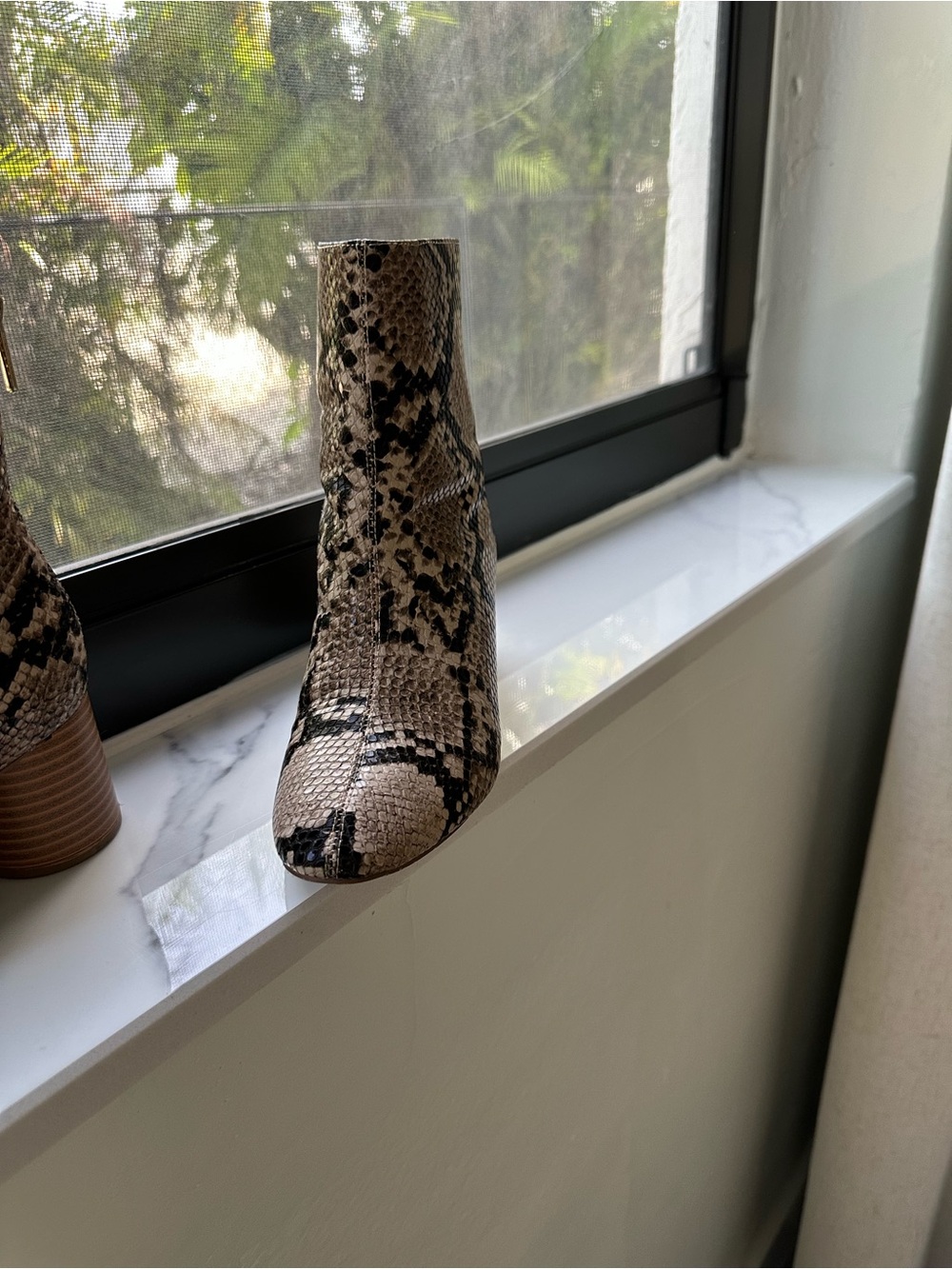 Shoe Dazzle Taupe and Black Snake-Print Ankle Boots - Picture 2 of 9